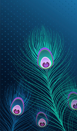 Feather Patterns vector illustrationのイラスト素材