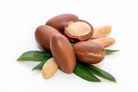Argan nutsの写真素材