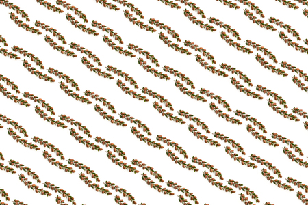 Argan background