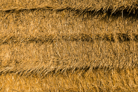 Background and texture of straw