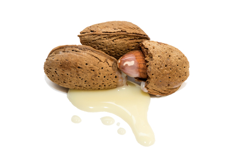 Almonds with almond milkの写真素材