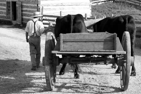 On The Farmの写真素材