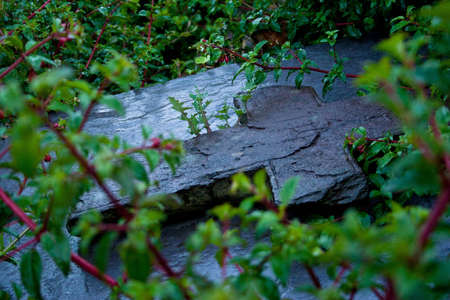 Grave Stoneの写真素材