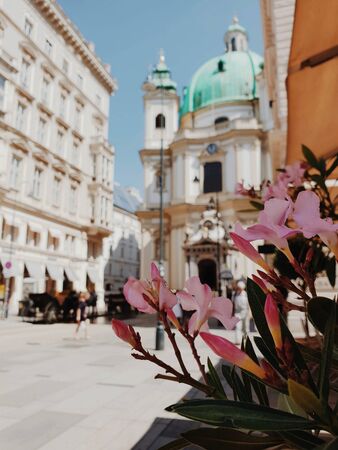 Vienna Flower Streetの写真素材