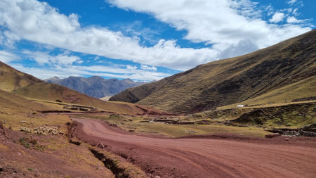 A scenic landscape featuring a winding dirt road through rolling hills with shades of brown and green.の写真素材