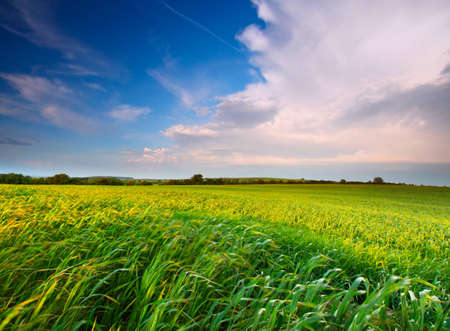 Dramatic clound on spring field with wind