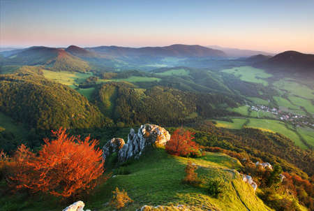 the mountain spring landscape with colorful forestの写真素材