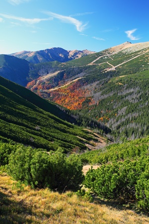 the mountain autumn landscape with colorful forest - Small Tatra - Slovakiaの写真素材
