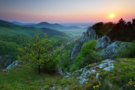 Green forest mountain at sunset with sunの写真素材
