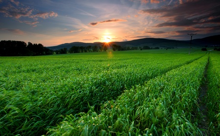 Sunset over farm field with lone tree and chapelの写真素材