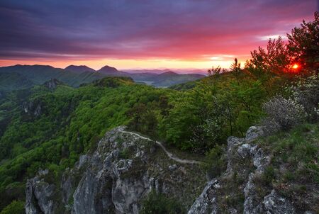 Green forest mountain at sunset with sunの写真素材