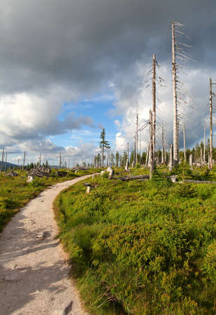 Mountain path in Krkonose
