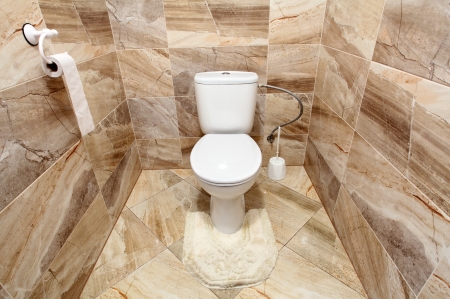 Luxury  toilet の写真素材