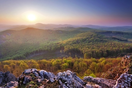 Mountain forest with sunの写真素材