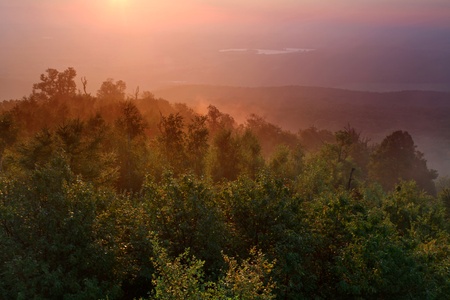 Misty morningの写真素材