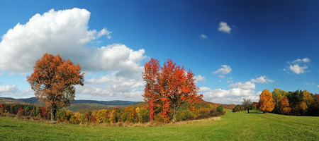 Autumn Panoramaの写真素材