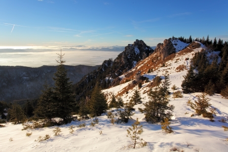 Winter sunset with forest in Slovakia from peak Ostraの写真素材