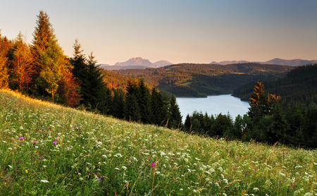Lake and forest - Nova Bystrica damの写真素材