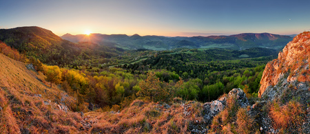 Slovakia spring forest panorama at sunriseの写真素材