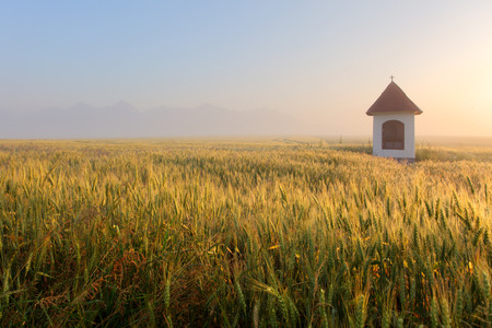 Mist on wheat field with chapel in Slovakia Tatrasの写真素材