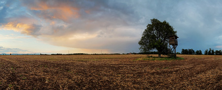 Plowed field Panorama with tree at sunsetの写真素材