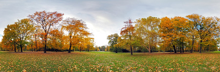 360 degree forest fall panoramaの写真素材
