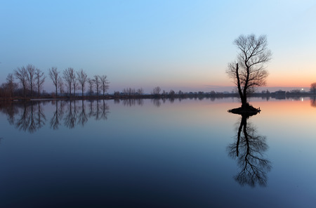 Tree in lake with color skyの写真素材