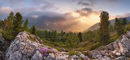 Scenery nature Alps in Italyの写真素材