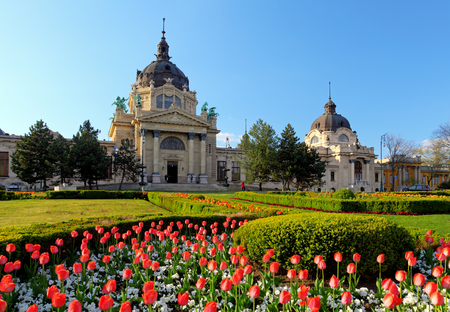 Szechenyi Spa with flower - Budapest, Hungaryの写真素材