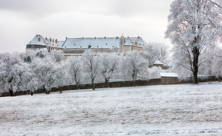 Winter tree with castle Cerveny Kamen, Slovakiaの写真素材
