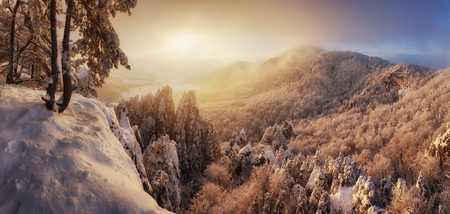 Beautiful winter panorama landscape with snow covered trees, Slovakia mountainの写真素材
