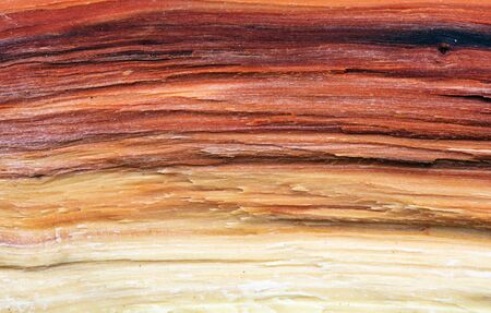 Old wood backgroundの写真素材