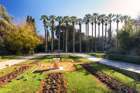 National garden with palm  in center of Athens, Greeceの写真素材