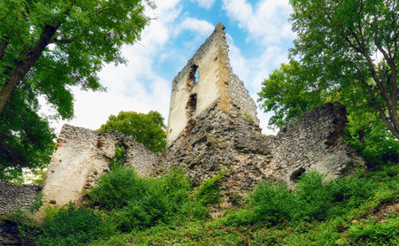 Slovakia - Ruins of castle Dobra Vodaのeditorial素材