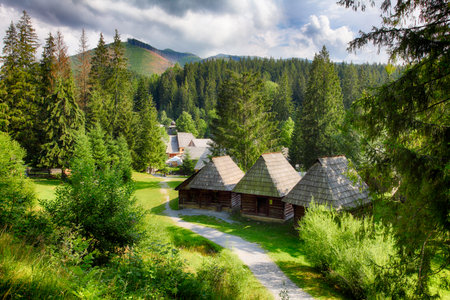 Summer view of wooden folk house located in forests  museum Skanzen of Orava Village, Zuberec, Slovakia. Orava Skanzenのeditorial素材