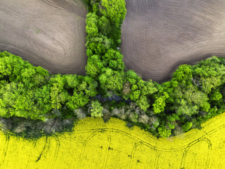 Aerial drone view of  river in green field with rape fields. Lush wetlands of bird's eye viewの写真素材