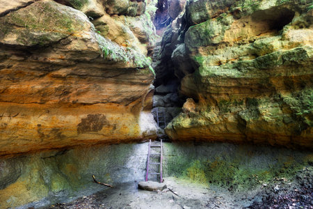 Pivnice sandstone canyon in Czech republic, Vysocinaの写真素材