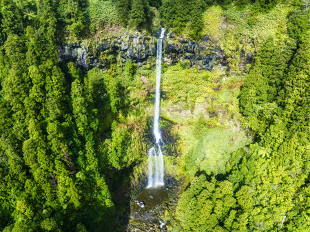 Aerial view of a remote waterfall GrenÃ¡ in Furnas surrounded by a dense forest in the Azores, Portugalの写真素材
