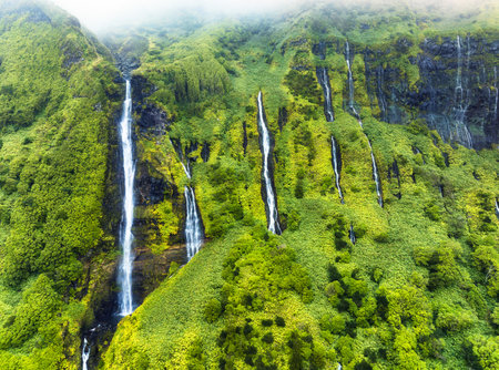 Green waterfall tropical landscape - Ribeira do Ferreira, green paradise hidden in Flores Island, Azores, Portugal, Pozo da Alagoinhaの写真素材