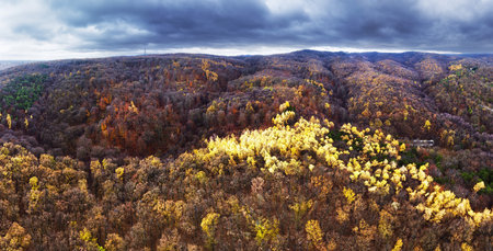 Autumn forest landscape near Bratislavaの写真素材
