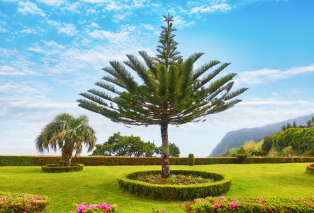 Garden at Miradouro da Ponta do Sossego at Sao Miguel island, Portugal.の写真素材