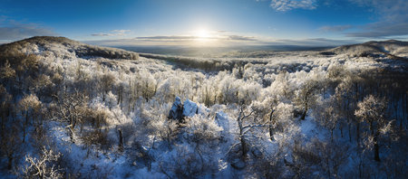 Panorama of frosty forest with sun at dramatic sunrise. Winter landscapeの写真素材