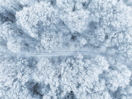 Aerial drone view of a snowy forest in winter, showcasing the frosty beauty of nature.の写真素材