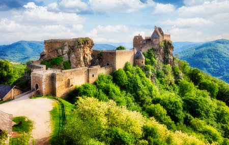 Austria castle - Aggstein ruin and Danube river at sunset in Wachauの写真素材