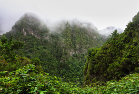 Panoramic views of green jungle mountainsの写真素材