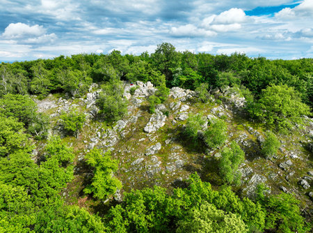 Rock in small carpathian, Slovakiaの写真素材