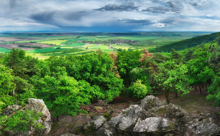 Mountain green forest panorama with cliff in Slovakiaの写真素材