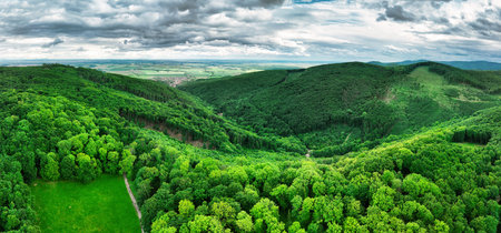 Wild mountains with coniferous forest and green slopes. Location place Carpathian mountains, Slovakiaの写真素材