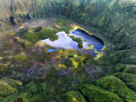 Azores, Faial island - Aerial view from drone to green volcano Caldeira at sunrise, Portugalの写真素材