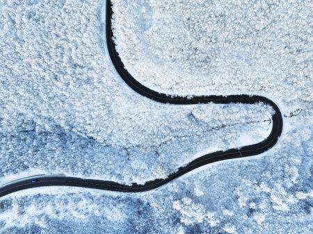 Top view of empty road along winter forest after snowfall. Aerial view of winding road through trees covered with snowの写真素材